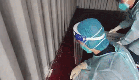 截获！毒性比响尾蛇强10倍