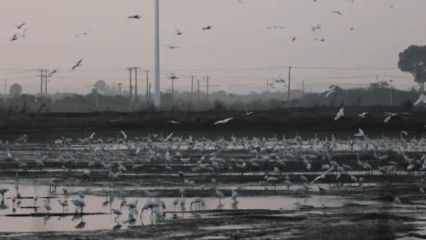 合肥上空，美翻了！