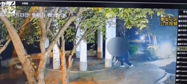上海一小区1个月内20多只小猫离奇死亡，监控拍下这一幕…