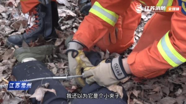 被野猪夹死死“咬”住，看着都疼...