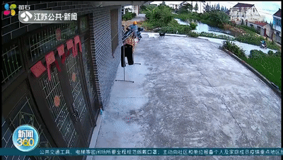 邻家狗子咬伤自家爱犬,谁来担责?法院这样判! 邻家狗子咬伤自家爱犬,谁来担责?法院这样判!