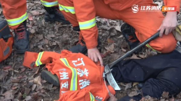被野猪夹死死“咬”住，看着都疼...