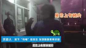 上海一对夫妻花5000多元替乌龟“赎身”,民警:不能放! 上海一对夫妻花5000多元替乌龟“赎身”,民警:不能放!