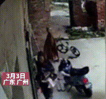 家长请注意！幼童一个动作手被炸黑！