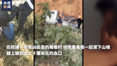 小说被批歌颂毒枭爱情！不能让英雄流血再寒心！
