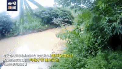 小说被批歌颂毒枭爱情！不能让英雄流血再寒心！