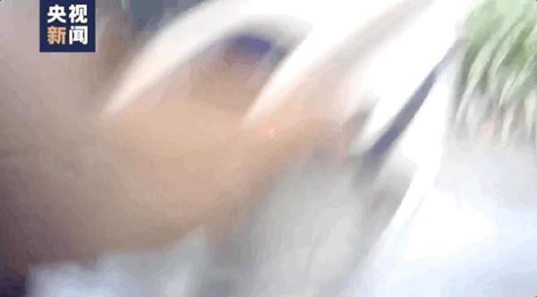 跳河、枪战、飚车……这不是拍电影！