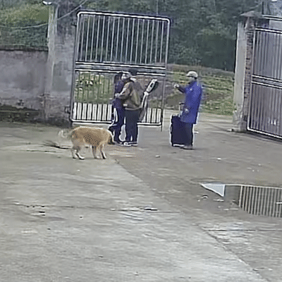 回家要告诉爸妈一声，为什么“最好精确到几点”……