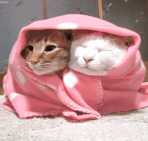 中到大雪+暴雪!河北最新预警→ 中到大雪+暴雪!河北最新预警→