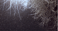 中到大雪+暴雪!河北最新预警→ 中到大雪+暴雪!河北最新预警→