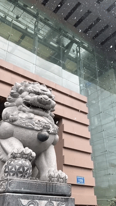 瑞雪兆丰年，江西下雪啦！
