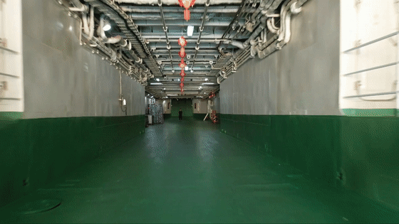 放眼望去→舰舰舰……船船船……