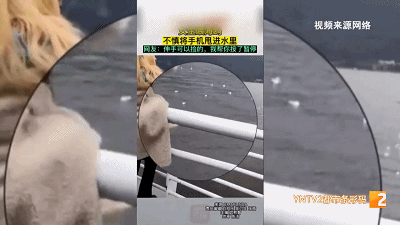 喂海鸥太投入，手机、鞋子等物品都掉滇池里！这群人好忙