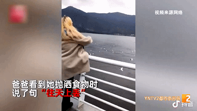 喂海鸥太投入，手机、鞋子等物品都掉滇池里！这群人好忙