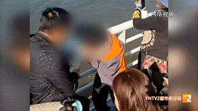 家长带“熊孩子”抓海鸥塞进罐子！昆明人怒了！警方锁定当事人！