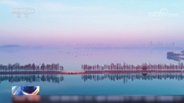 我国新增国际重要湿地18处！跟随镜头一同领略中国湿地之美