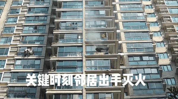 一个动作，赔偿万元，拘留10日！