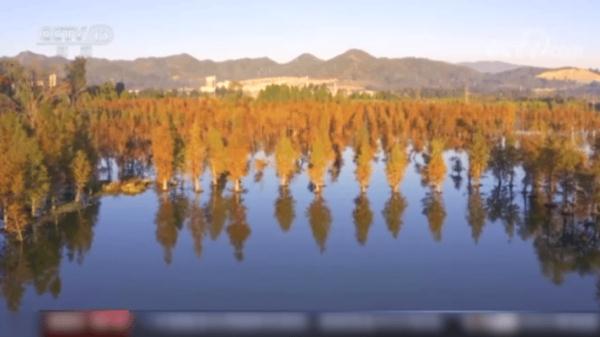 我国新增国际重要湿地18处！跟随镜头一同领略中国湿地之美