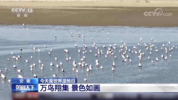 我国新增国际重要湿地18处！跟随镜头一同领略中国湿地之美
