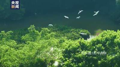 现实中的“京海市”，藏不住了！