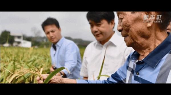 这七包种子飞上太空 背后的故事很感人 这七包种子飞上太空 背后的故事很感人