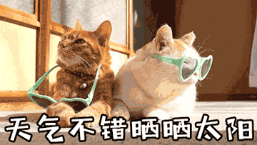 变天！中雪！雨夹雪！山西又要下雪了！