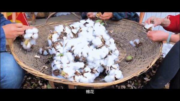 这七包种子飞上太空 背后的故事很感人 这七包种子飞上太空 背后的故事很感人