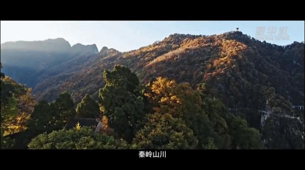 这七包种子飞上太空 背后的故事很感人 这七包种子飞上太空 背后的故事很感人