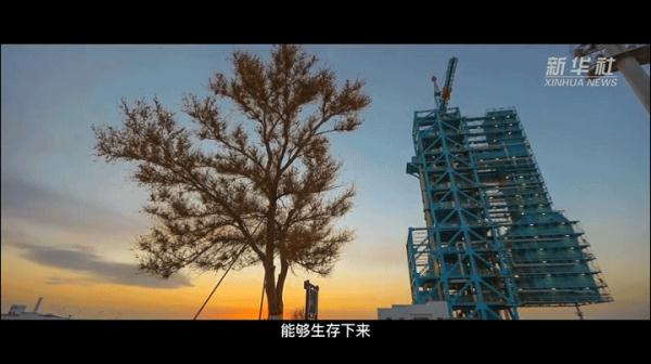 这七包种子飞上太空 背后的故事很感人 这七包种子飞上太空 背后的故事很感人