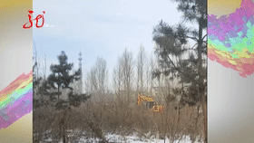 死者是谁？哈尔滨这一小区附近，竟然出现坟墓、花圈！