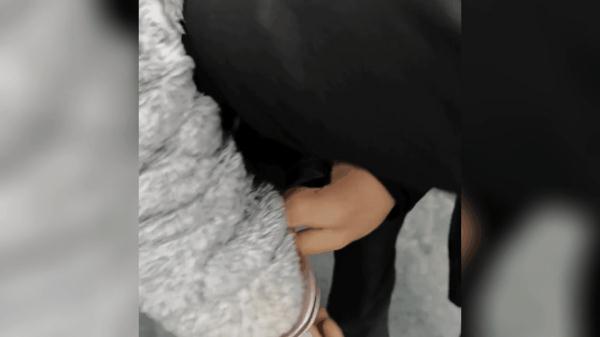 刚出监狱大门,他又被警方抓走!网友:无缝衔接 刚出监狱大门,他又被警方抓走!网友:无缝衔接