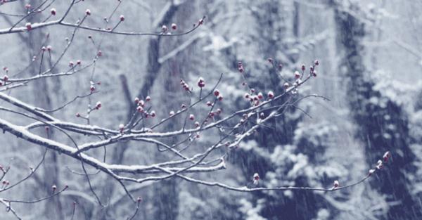 天津下雪啦！下午雨夹雪！重要风险提示！周末大降温......