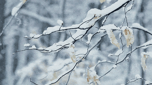 中雪+大雪!大范围雨雪又来,河北未来三天…… 中雪+大雪!大范围雨雪又来,河北未来三天……