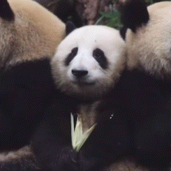 25℃？隔天换季！明天冷空气将影响浙江，还有中到大雨...