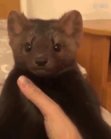 25℃？隔天换季！明天冷空气将影响浙江，还有中到大雨...