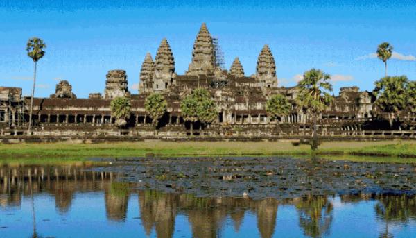 此地发现1例登革热输入病例！春节期间曾去泰国旅游！