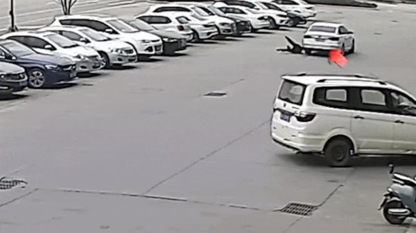 这些“狂飙”现场令人心疼！