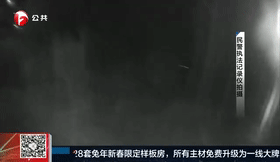 奶牛深夜“大逃亡” 忙坏了巡逻民警