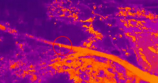 9岁孩子离家出走,热成像无人机、警犬、巡逻车全出动! 9岁孩子离家出走,热成像无人机、警犬、巡逻车全出动!