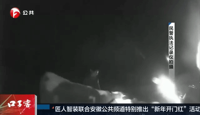 奶牛深夜“大逃亡” 忙坏了巡逻民警