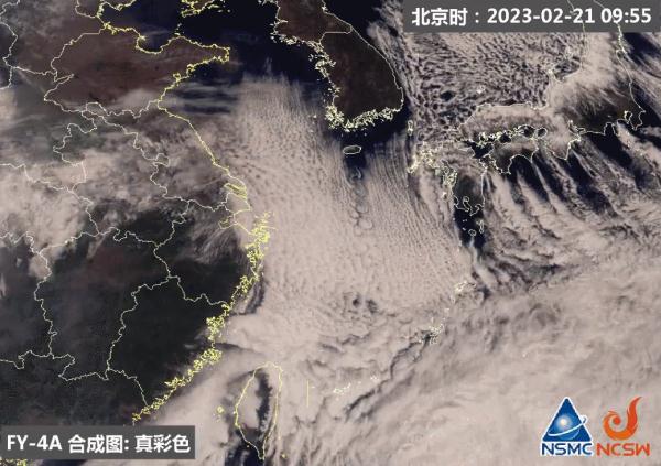 2月下旬还有冷空气要来？春天的脚脖子究竟“卡”在哪了？