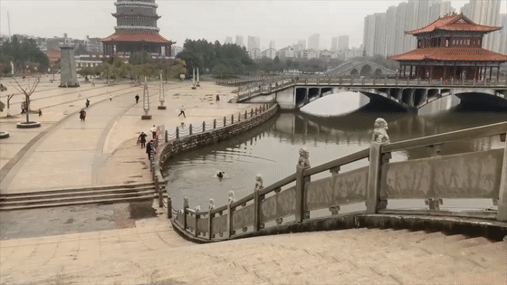 “你叫什么名字?”“我是人民子弟兵” “你叫什么名字?”“我是人民子弟兵”