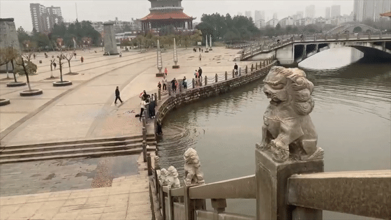 “你叫什么名字?”“我是人民子弟兵” “你叫什么名字?”“我是人民子弟兵”