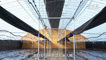 大運河畔“蔬菜之鄉(xiāng)”　加快發(fā)展智慧農(nóng)業(yè)
