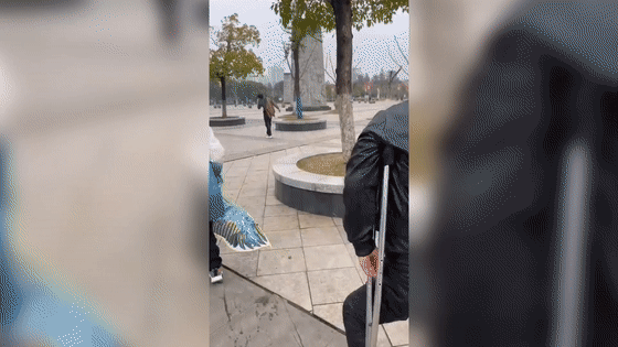 “你叫什么名字?”“我是人民子弟兵” “你叫什么名字?”“我是人民子弟兵”