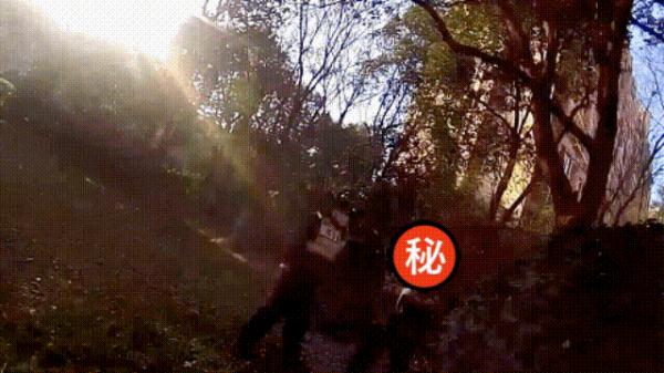 做贼心虚的他竟将赃物藏在...... 做贼心虚的他竟将赃物藏在......