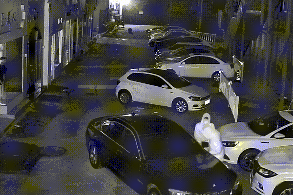 俩男子偷走五十余辆豪车后视镜 俩男子偷走五十余辆豪车后视镜