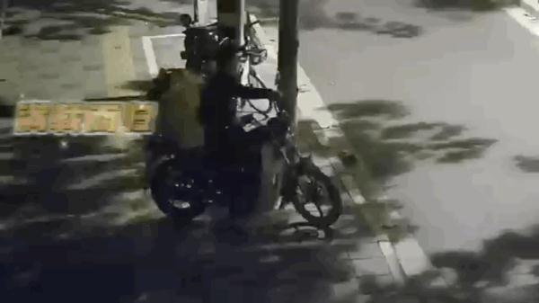 “不知不觉偷了3公里”!上海一男子偷隔离栏绿植,原价7万卖了1500…… “不知不觉偷了3公里”!上海一男子偷隔离栏绿植,原价7万卖了1500……