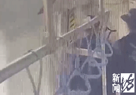 被迫暂停运营！上海地铁一车厢弥漫刺鼻气味，原因竟是…