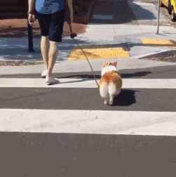 我知道你体检最怕的项目是什么,但劝你做一下 我知道你体检最怕的项目是什么,但劝你做一下